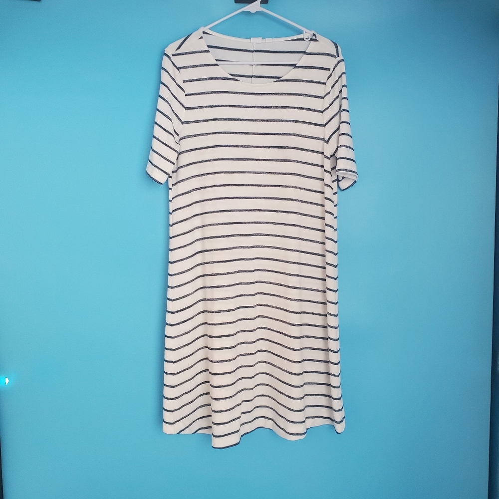 GAP Size Medium Knit Knee Length Shift Dress